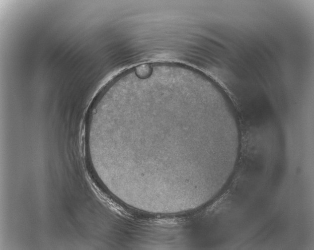 X0000064771126200602241943