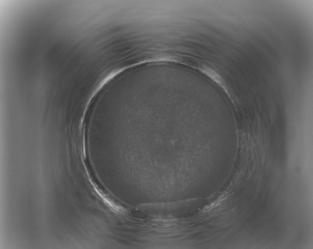 X0000064771127200602241943