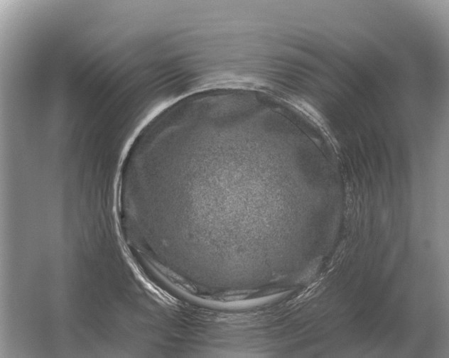 X0000064771128200602241943