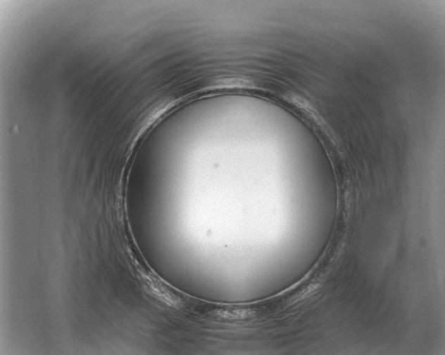 X0000064771129200602241943