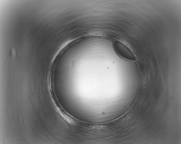 X0000064771131200602241943