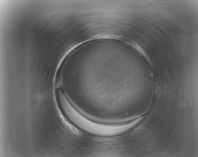 X0000064771132200602241943