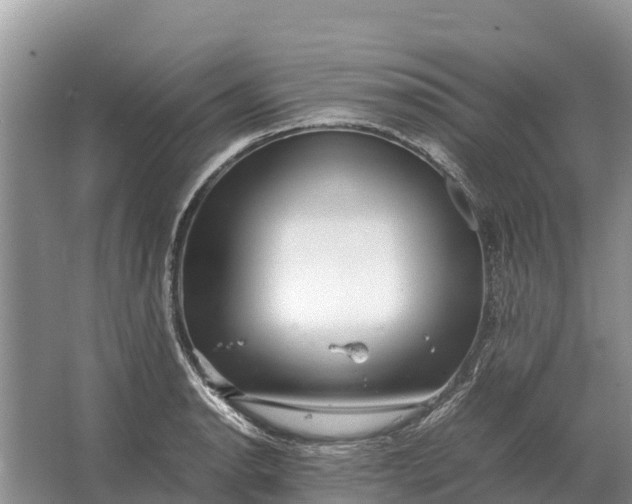 X0000064771134200602241943