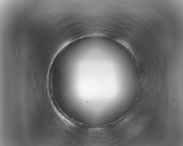 X0000064771135200602241943