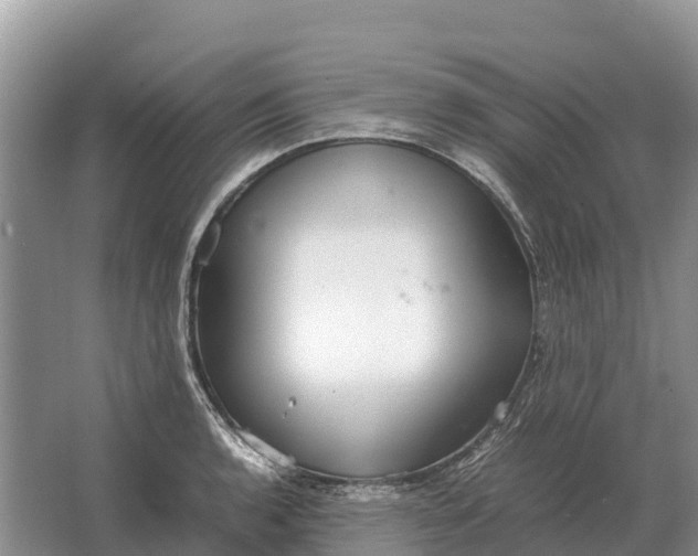 X0000064771136200602241943