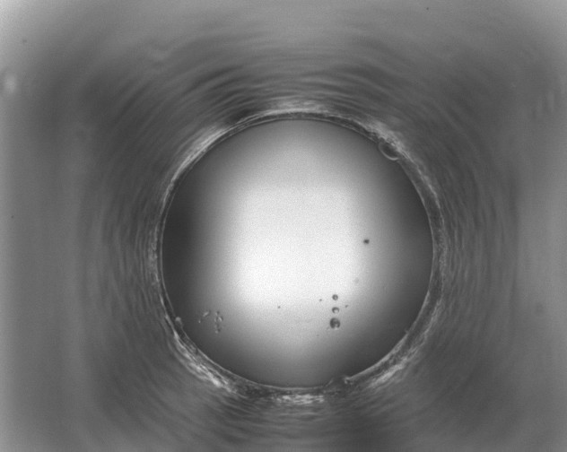 X0000064771137200602241943