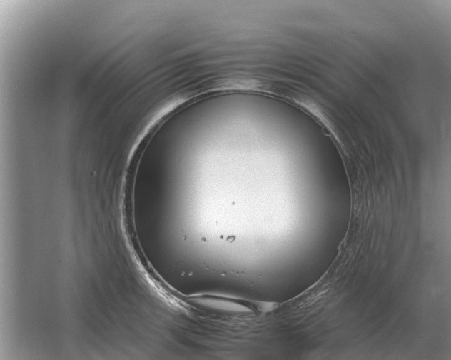 X0000064771139200602241943