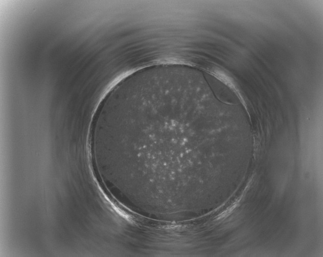 X0000064771141200602241944