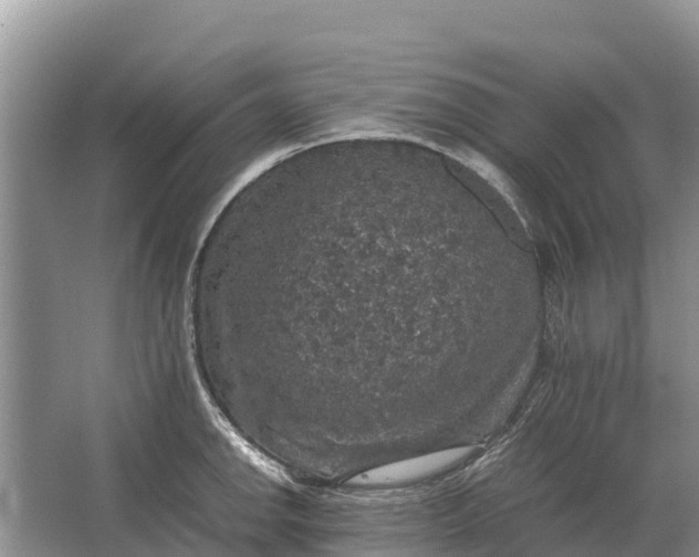 X0000064771142200602241944