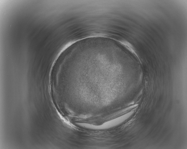 X0000064771143200602241944