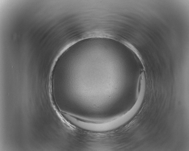 X0000064771144200602241944