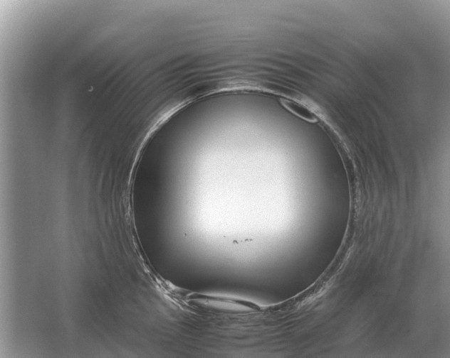 X0000064771145200602241944