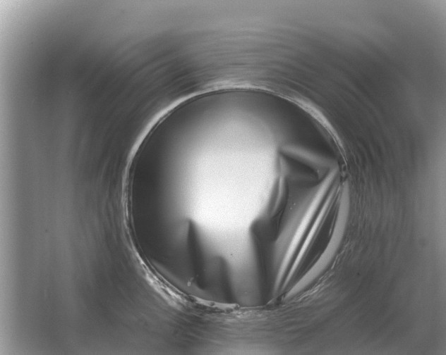 X0000064771148200602241944