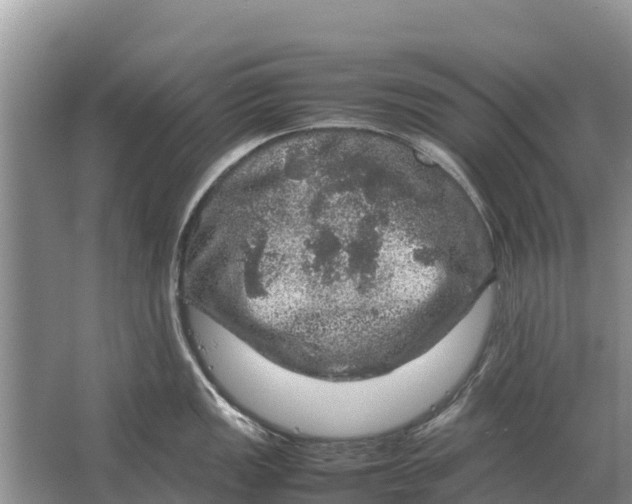 X0000064771149200602241944