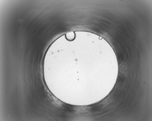 X0000064771150200602241944