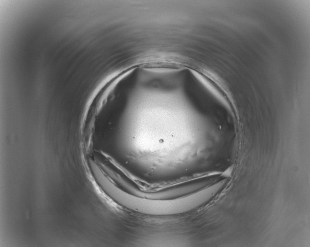 X0000064771152200602241944