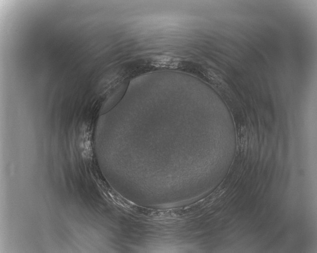 X0000064771154200602241943