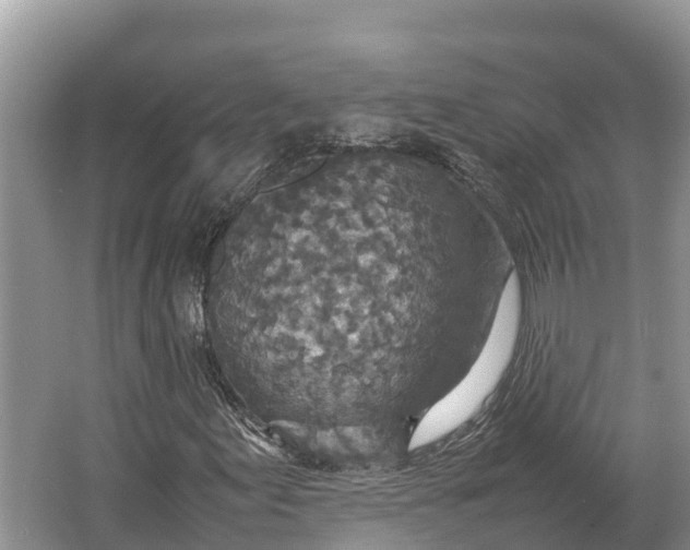 X0000064771155200602241943