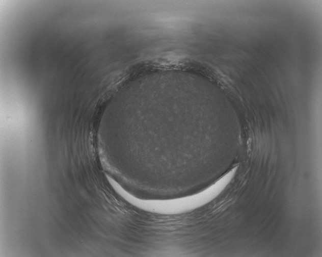 X0000064771156200602241942