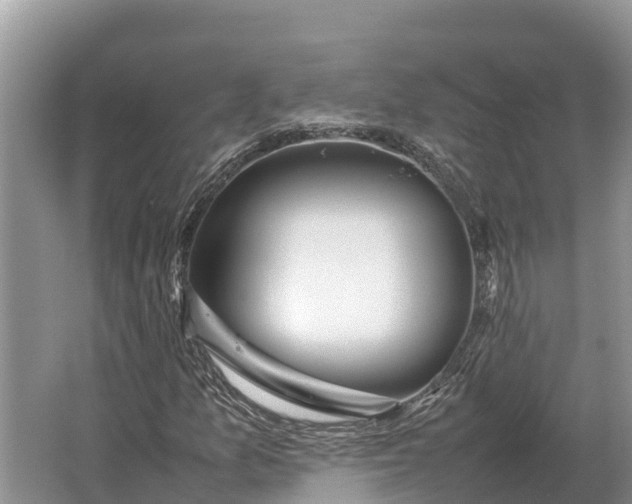 X0000064771157200602241942