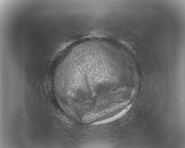 X0000064771159200602241942