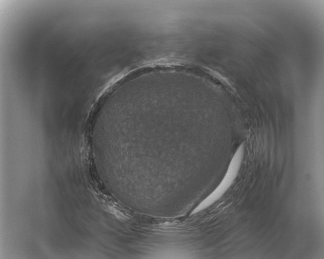 X0000064771160200602241942