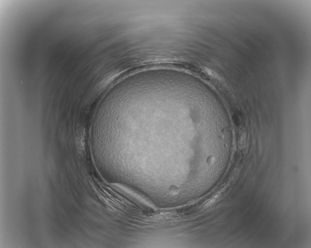 X0000064771161200602241942