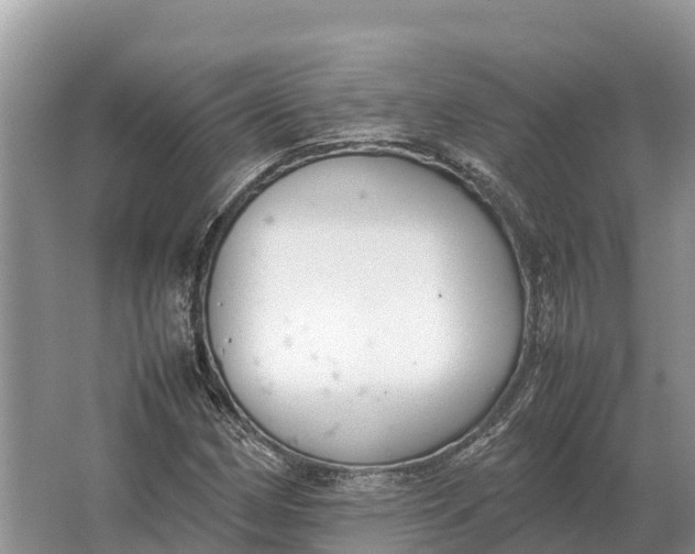 X0000064771162200602241942