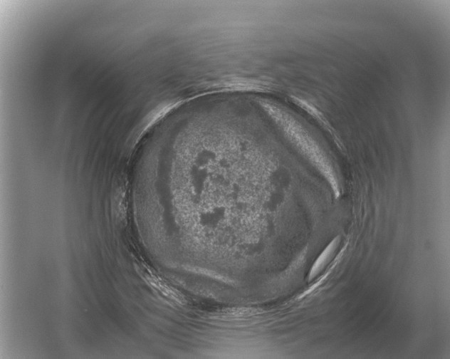 X0000064771163200602241942