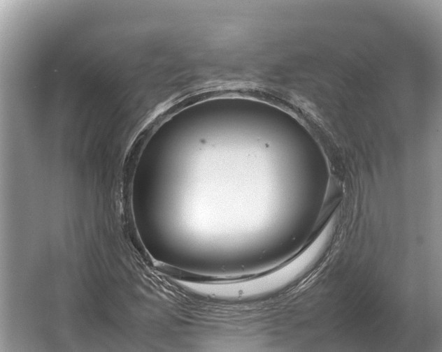 X0000064771165200602241942