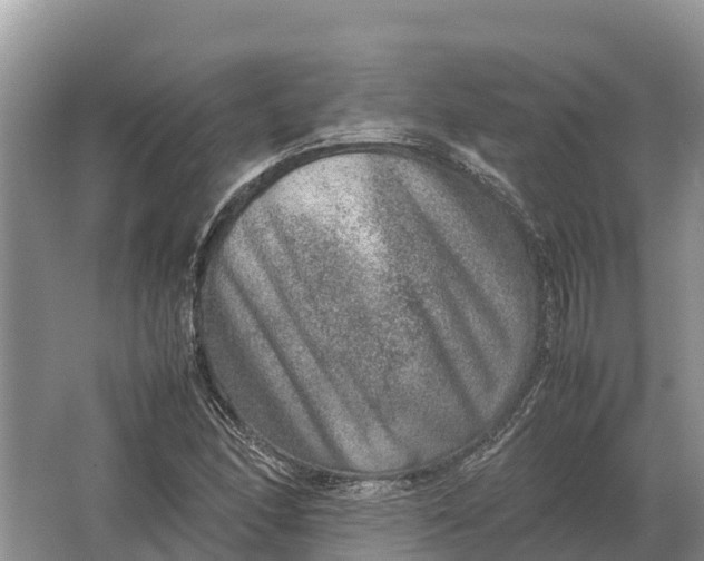 X0000064771166200602241942