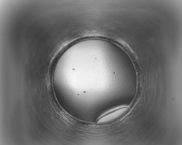 X0000064771167200602241942