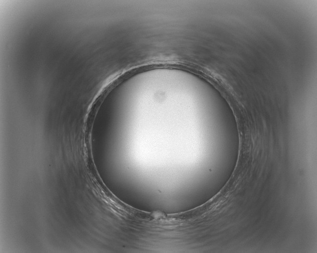 X0000064771168200602241942