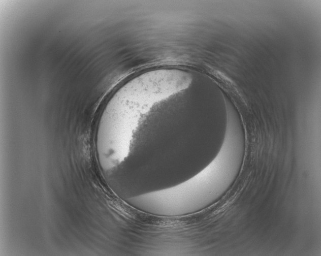 X0000064771170200602241942