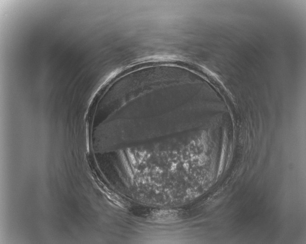 X0000064771171200602241942