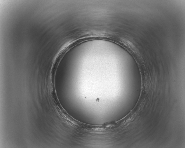 X0000064771172200602241942