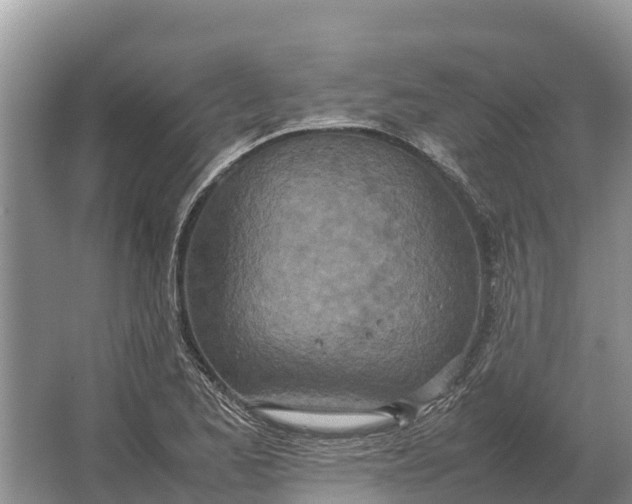 X0000064771173200602241942