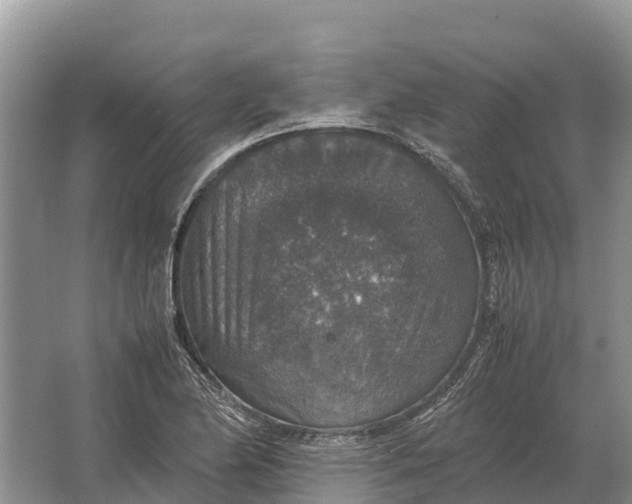 X0000064771174200602241942