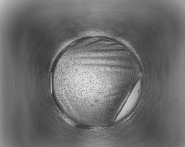 X0000064771175200602241942