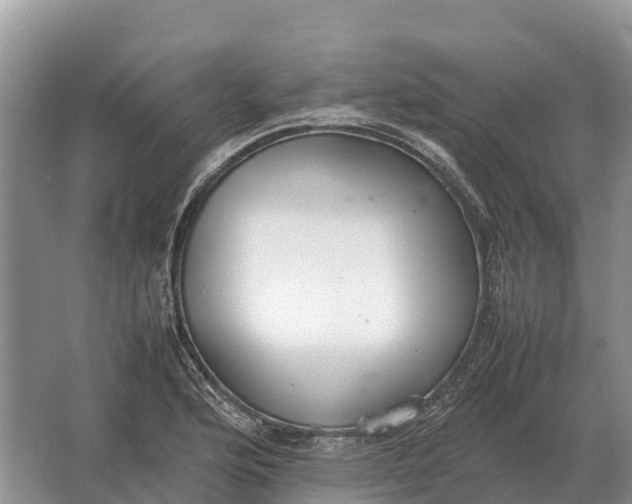 X0000064771176200602241942