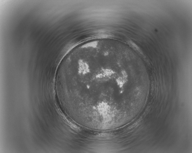 X0000064771178200602241942