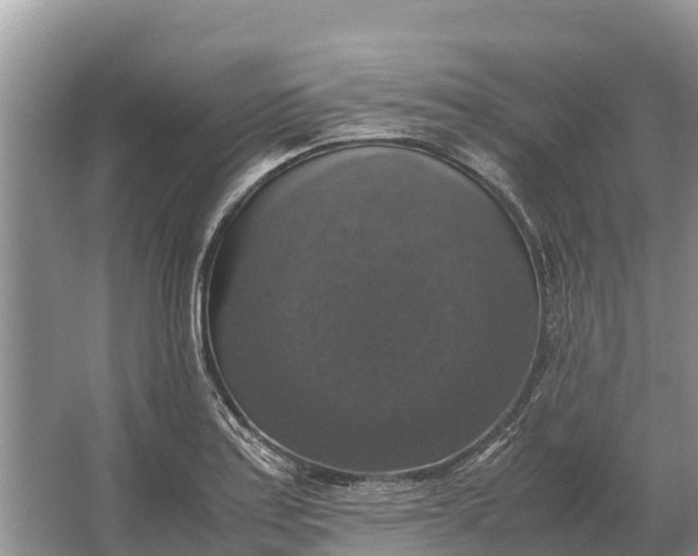 X0000064771179200602241942