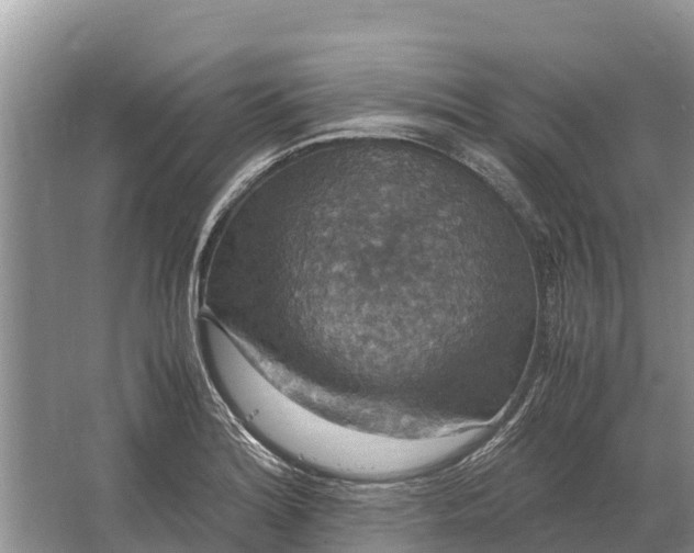 X0000064771180200602241942