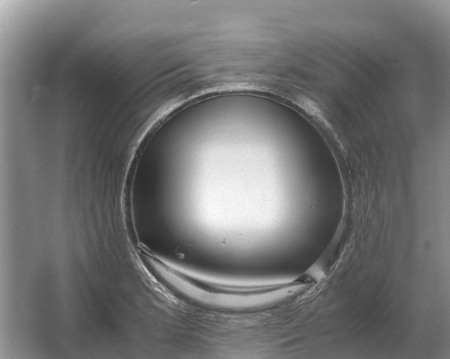 X0000064771181200602241942