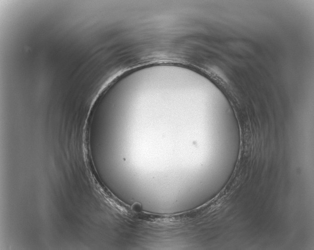 X0000064771182200602241942