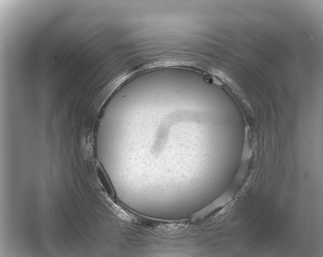 X0000064771185200602241942