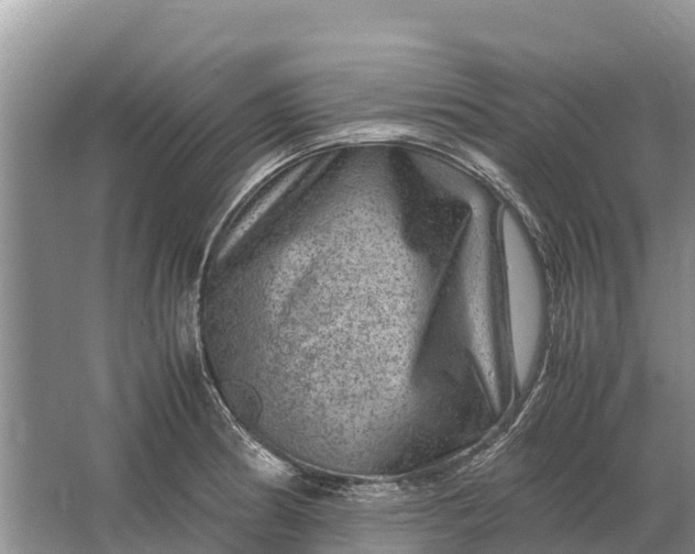 X0000064771186200602241942