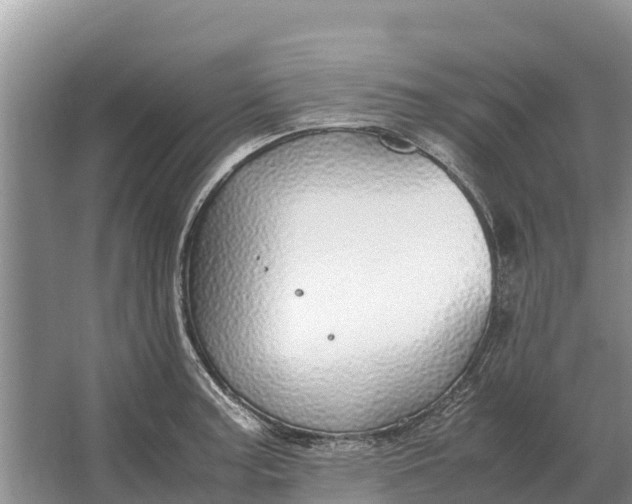 X0000064771187200602241942