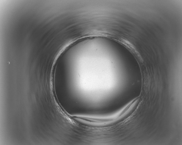 X0000064771188200602241942