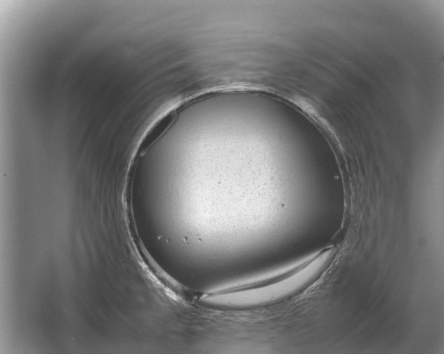 X0000064771189200602241942